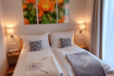 Koenigsapartments - Ringelblume