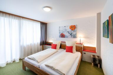 Sportappart Hochtannberg - App. für 2-4 Personen TOP 10