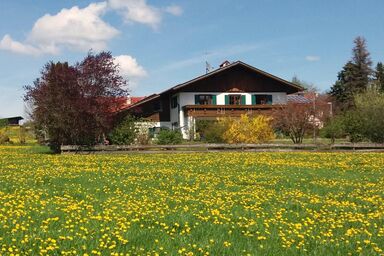 Ferienhaus Allgäu - Fewo Sonnenblume, Königscard