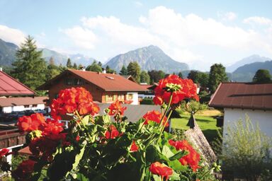 Haus Sinz - Ferienwohnung Nr. 4