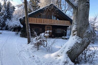 Hütte im Moor