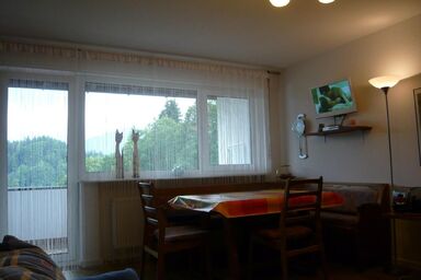 Studio Haus Falkenhorst Nr. 40 mit Südbalkon