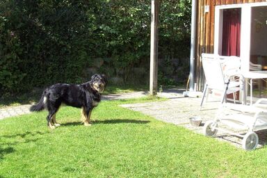 Ferienhaus in Zandt mit Garten, Terrasse und Grill