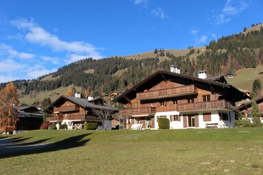 Appartement Dahlia, (Rougemont). 2 chambres à coucher, 60 m2, 4 personnes