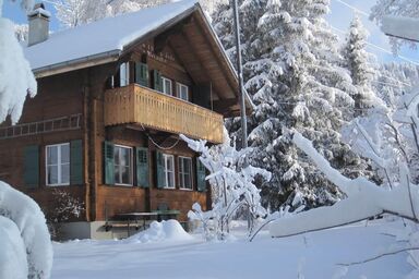 Chalet "Alpidyll" mit Bergpanorama