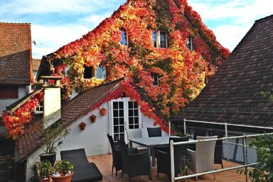 Charmantes historisches Haus nahe dem Rheinfall