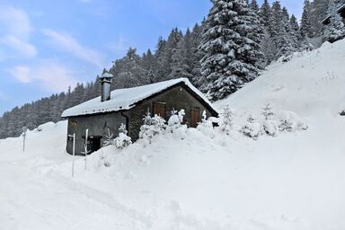 Chalet Le Basset - Family Chalet in the Swiss Alps