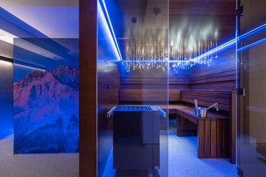 Studio mit Wellnessbereich und Skiraum