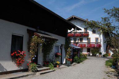 Hofbauer - Miniappartement Nr. 8 im Zuhaus, 20 qm, für 2 Pers.