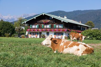 Ferienwohnung Drachllehen - Appartement Hohes Brett, 2 Personen, Ostbalkon mit Bergblick