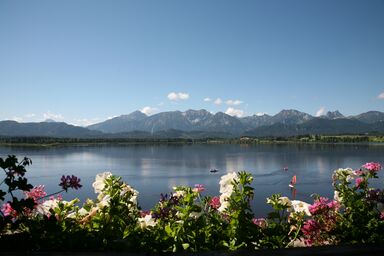 Ferienwohnungen am Hopfensee im Allgäu - 3-Zimmer-Wohnung Penthouse, 95 qm, 2 Schlafzimmer, max. 4 Personen