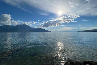 Les Narcisses,Blonay - Les Narcisses,Blonay .1