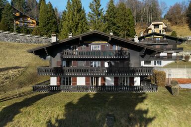 Regina D1 - Regina D1 .11