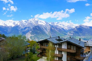 Chaedoz 13 - Chaedoz 13 .7