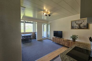 Chalet Flugg - Chalet Flugg .1