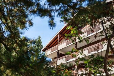 Everest - Everest .1