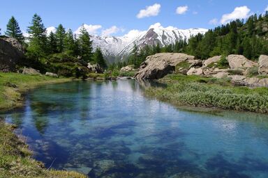 Kaplanei - Kaplanei .1