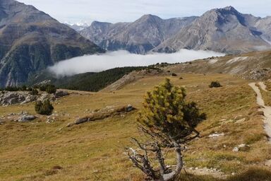 Chasa Melchior - Chasa Melchior .1