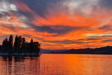WohlfühlNest - WohlfühlNest .1