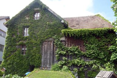 das schiefe Haus - das schiefe Haus .1