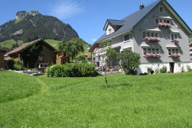 Wis (Stein) - Wis (Stein) .1