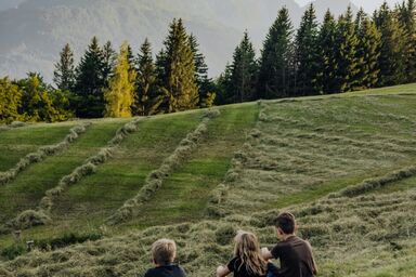 Bio-Bergbauernhof Weger, vlg. Rübenstöffl - Ferienwohnung "Alpenblick"