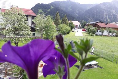 Biobauernhof Vilshof - "Rossalpe" FeWo max. 2-Personen