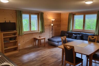 Bauernhof Dünser - Ferienwohnung "Fluh"