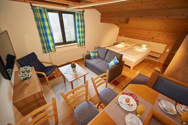 Apartmenthotel Panorama - Studio 3 Personen ohne Balkon