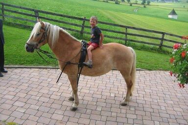 Pertl - Hansalagut - Apartment 6