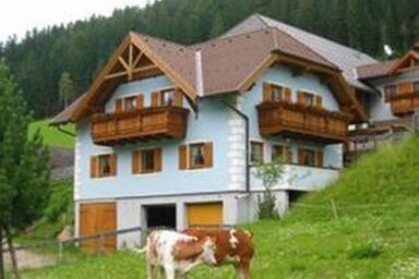 Pertl - Hansalagut - Ferienhaus/4 od. mehr Schlafr./Bad, WC