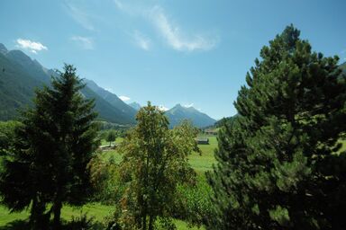 Feldhof - Appartement Alpenglühen