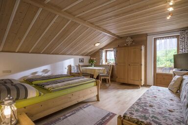 Bauernhof Angarterhof - Familie Fuchs - Ap. Miesberg/Wohn-Schlafraum/Dusche, WC