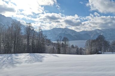 Attersee Panorama Apartments - Ferienwohnung 1 - Williamsbirne