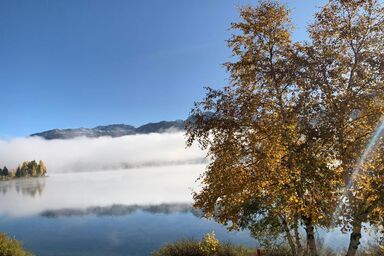 Sunny Side of Engadin Arnica 3