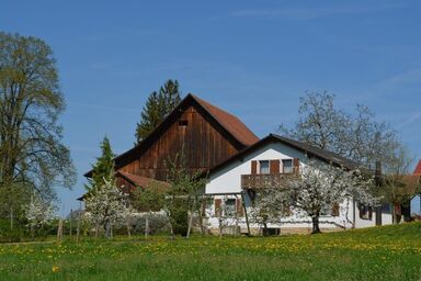 Ferienwohnung Bellevue in der wunderschönen Ajoie