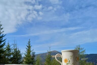 Gemütliche Almhütte direkt im Skigebiet