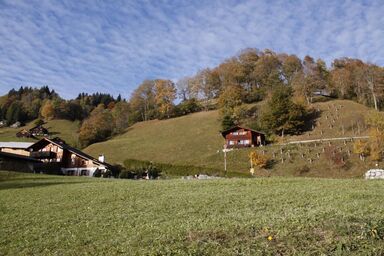 Ferienhaus Weissenberge Gfell