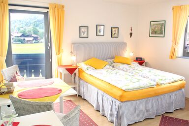 Landhaus Sonnenblick - 1-Raum-Appartement, 20 qm, Bad, Kochnische und West Balkon, 1. Stock (3)