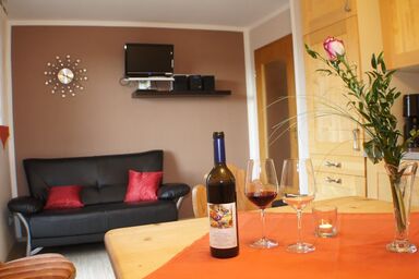 Bio-Erlebnisbauernhof Doll - Haflingerhof - Mohnblume