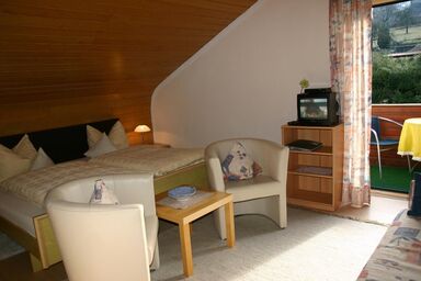 Pension Hoisl - Doppelzimmer mit Schlafcouch