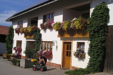 Ferienhof Ring - Ferienwohnung II - 80 qm
