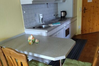 Ferienhof "Alte Schmiede" - Appartement