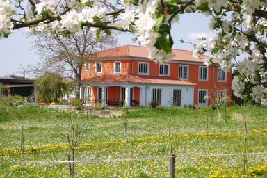 Weinhof am Nussbaum - Einzelzimmer Weinhof am Nussbaum - mit kostenfreiem Wlan