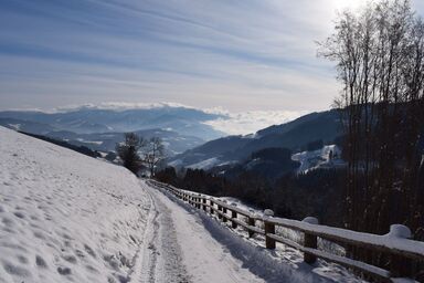 Alm-Ferienhaus - Alm-Ferienhaus .1