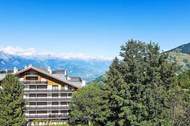 Montfort 9A - Montfort 9A .5