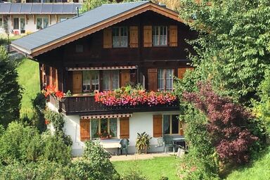 Chalet Birkli - Chalet Birkli .1