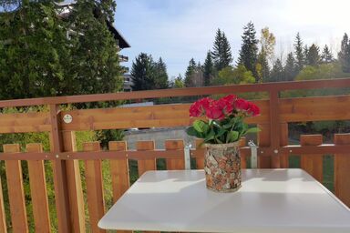 Barzettes-Vacances 558 / Entrée N° 18 - Barzettes-Vacances B 455/ entrée n°16 .11