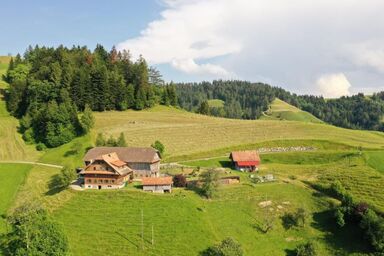Ober-Tiefenbühl - Ober-Tiefenbühl .1