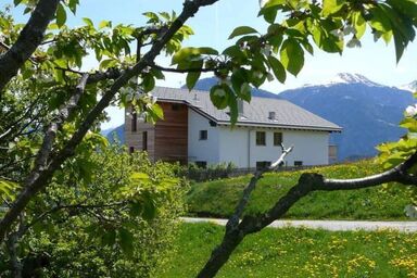 Hof Quadra - Hof Quadra .1